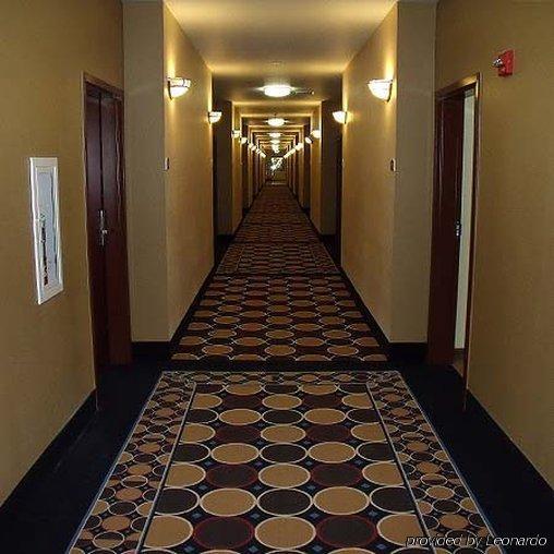 Irish Inn And Suites Muleshoe Eksteriør bilde