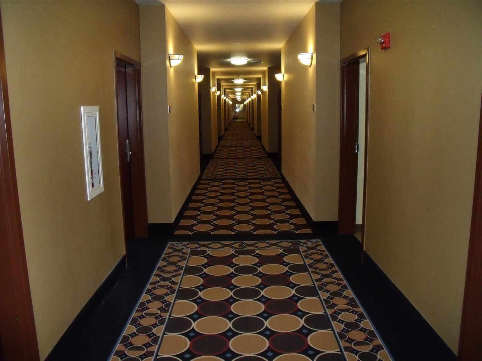 Irish Inn And Suites Muleshoe Eksteriør bilde